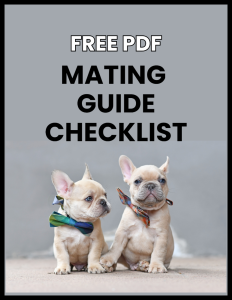 Dog Mating Guide Checklist